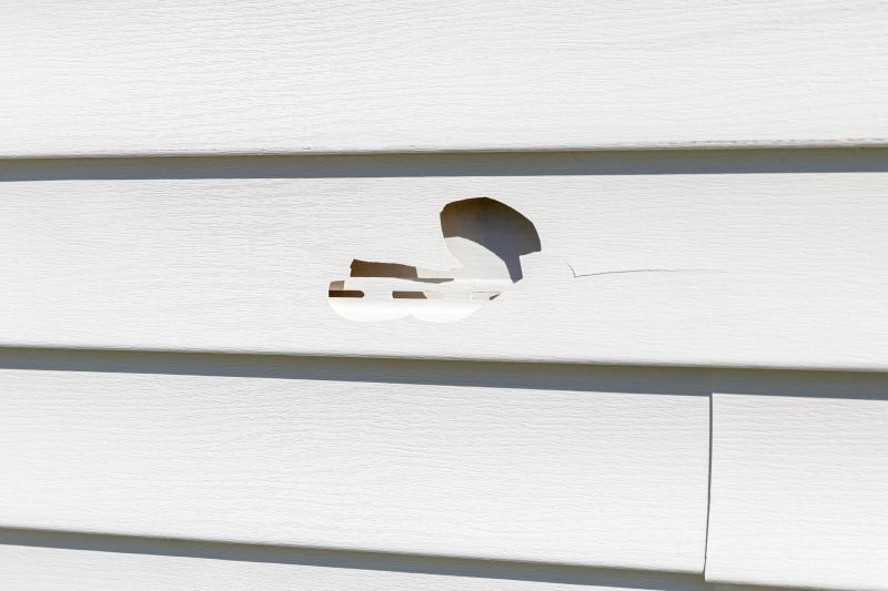 Damaged Siding Sections